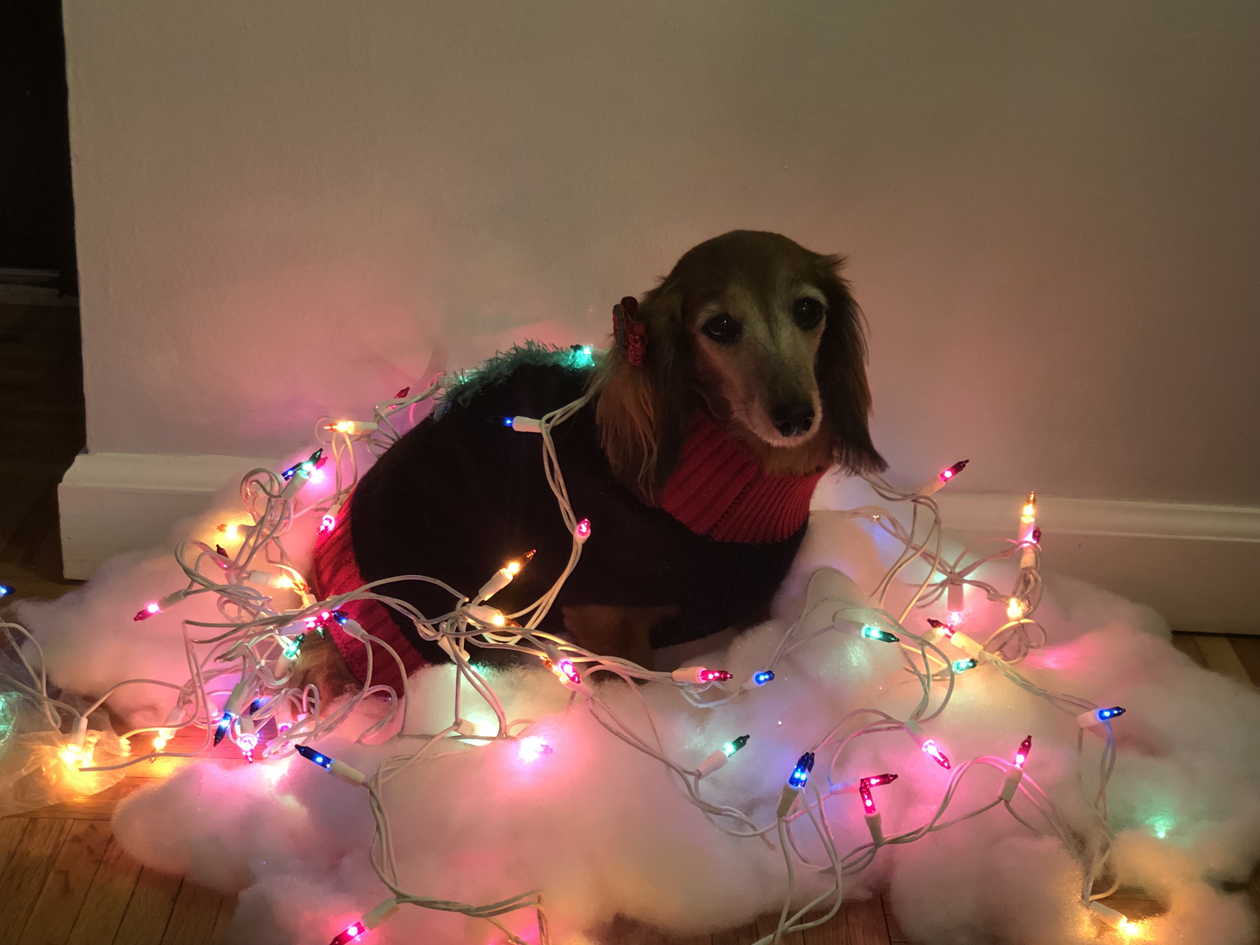 Christmas lights